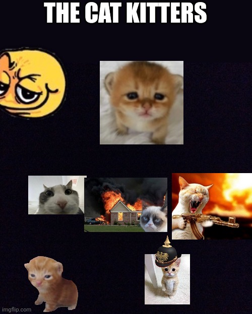 Kitty catters | THE CAT KITTERS | image tagged in black screen | made w/ Imgflip meme maker