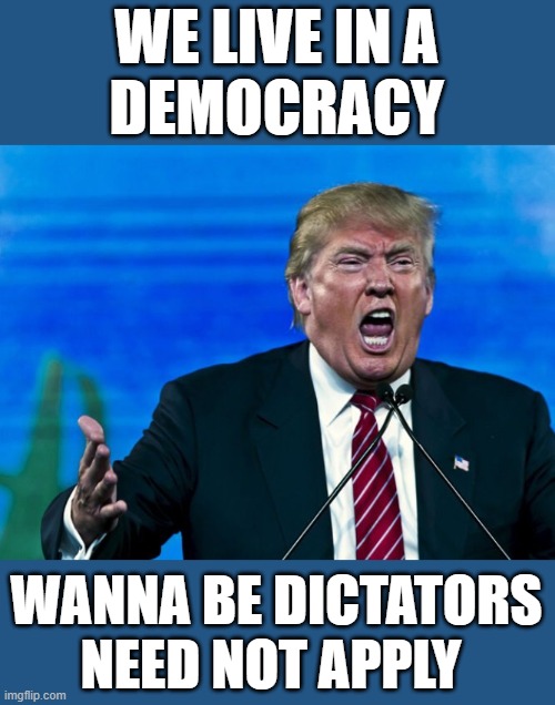 lock this maga rino putin loving commie freak up | WE LIVE IN A
DEMOCRACY; WANNA BE DICTATORS
NEED NOT APPLY | image tagged in trump yelling,maga,rino,dictator,fascist,wannabe | made w/ Imgflip meme maker