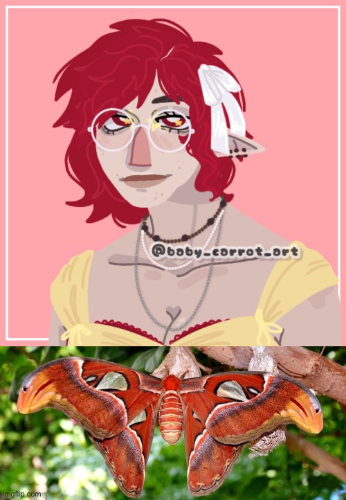 New princess oc! Welcome, Atlas! Based on the Atlas Moth and the fact that I’ve never had an oc named Atlas! | made w/ Imgflip meme maker