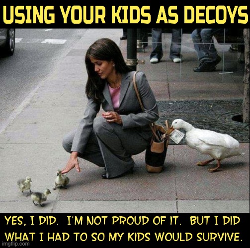 Crime Spreads to the Animal Community | image tagged in vince vance,ducks,duckling,memes,theif,decoys | made w/ Imgflip meme maker