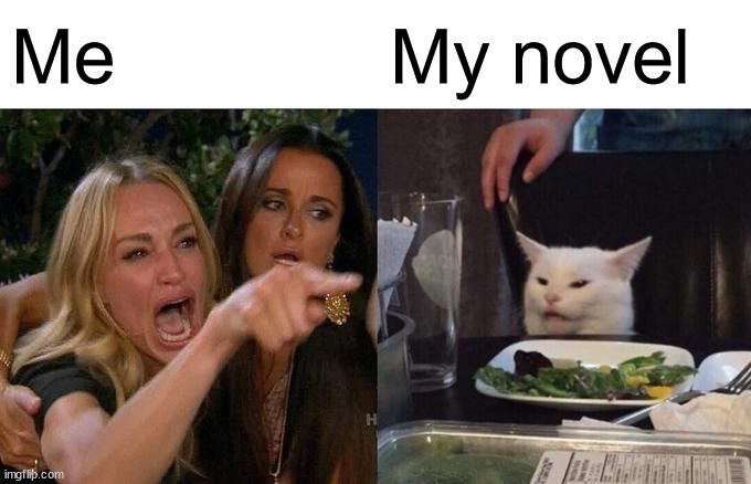 me vs my novel | Me; My novel | image tagged in memes,woman yelling at cat | made w/ Imgflip meme maker