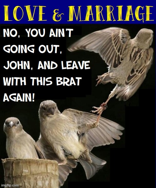 Not So Fast!! | image tagged in vince vance,birds,nest,marriage,stepping out,memes | made w/ Imgflip meme maker