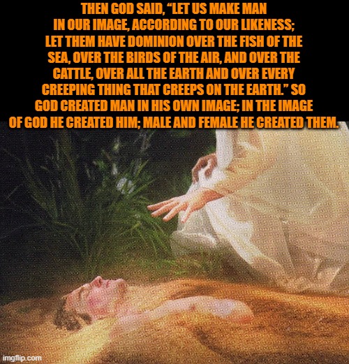 There are no other genders. God created male and female in His image. Anything else is delusional. | THEN GOD SAID, “LET US MAKE MAN IN OUR IMAGE, ACCORDING TO OUR LIKENESS; LET THEM HAVE DOMINION OVER THE FISH OF THE SEA, OVER THE BIRDS OF THE AIR, AND OVER THE CATTLE, OVER ALL THE EARTH AND OVER EVERY CREEPING THING THAT CREEPS ON THE EARTH.” SO GOD CREATED MAN IN HIS OWN IMAGE; IN THE IMAGE OF GOD HE CREATED HIM; MALE AND FEMALE HE CREATED THEM. | image tagged in god,creation,male,female,christiansonly | made w/ Imgflip meme maker