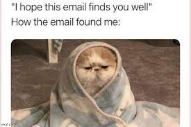 true | image tagged in memes,funny | made w/ Imgflip meme maker