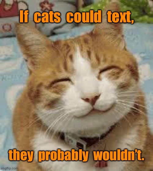 If cats could text | If  cats  could  text, they  probably  wouldn’t. | image tagged in happy cat,if a cat could,text,they would not,fun | made w/ Imgflip meme maker