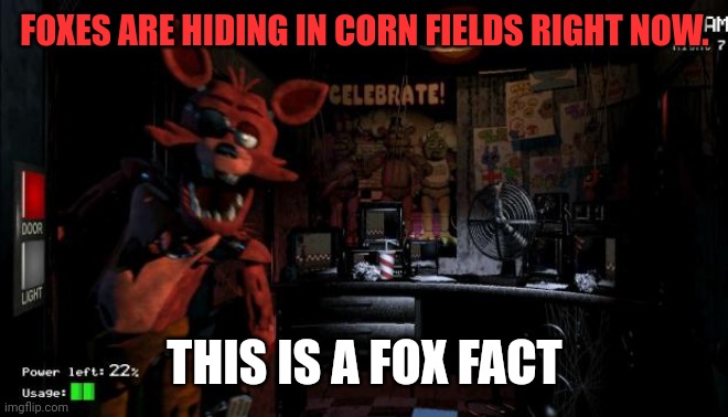 Please learn important fox facts | FOXES ARE HIDING IN CORN FIELDS RIGHT NOW. THIS IS A FOX FACT | image tagged in foxy five nights at freddy's,important,fox,facts | made w/ Imgflip meme maker
