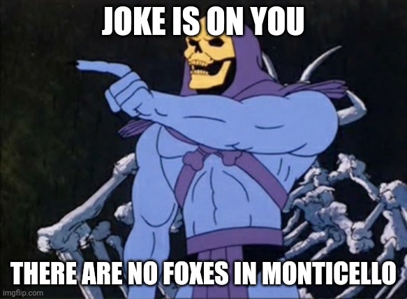 Skeletor pointing | JOKE IS ON YOU THERE ARE NO FOXES IN MONTICELLO | image tagged in skeletor pointing | made w/ Imgflip meme maker
