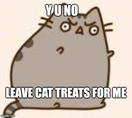 Y U NO PUSHEEN | Y U NO LEAVE CAT TREATS FOR ME | image tagged in y u no pusheen | made w/ Imgflip meme maker
