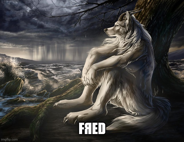 FЯED | FЯED | image tagged in sitting wolf | made w/ Imgflip meme maker