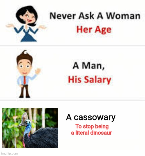 Never ask a cassowary this... | A cassowary; To stop being a literal dinosaur | image tagged in never ask a woman her age | made w/ Imgflip meme maker