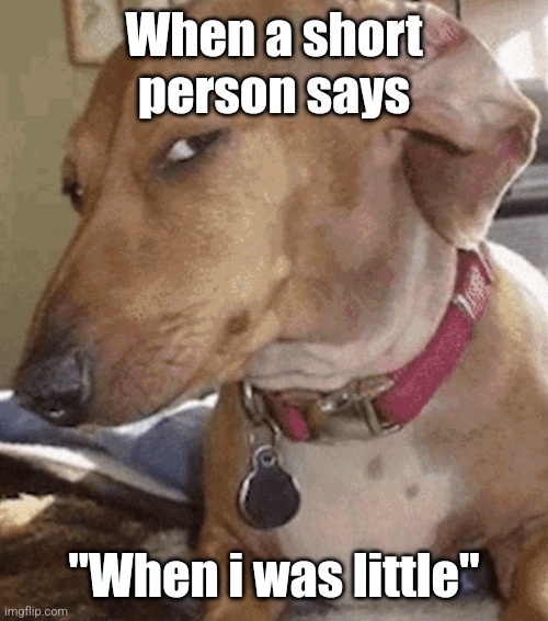 Stfu you still little | When a short person says; "When i was little" | image tagged in side eye dog | made w/ Imgflip meme maker