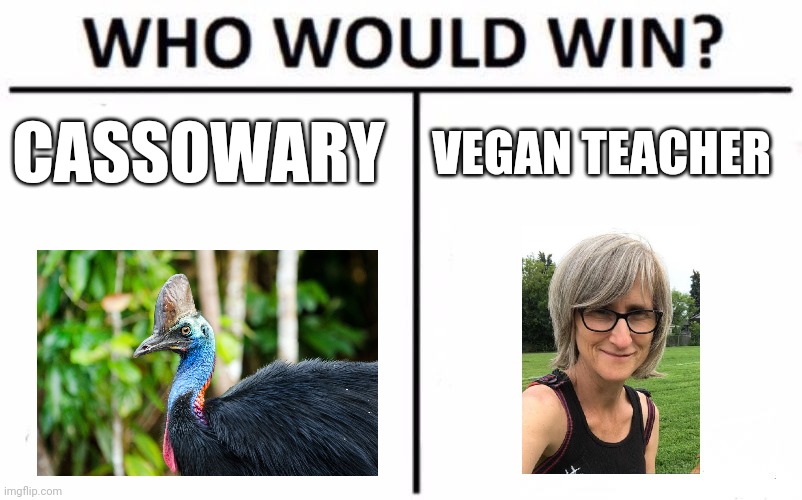 Cassowary vs Vegan teacher | CASSOWARY; VEGAN TEACHER | image tagged in memes,who would win | made w/ Imgflip meme maker