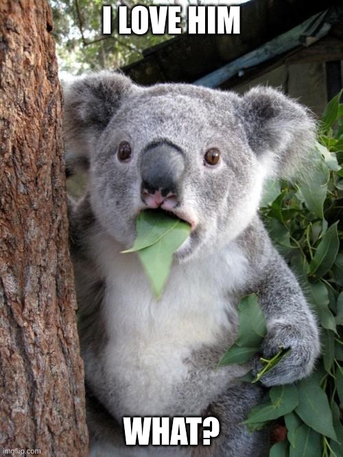 zoo | I LOVE HIM; WHAT? | image tagged in memes,surprised koala | made w/ Imgflip meme maker