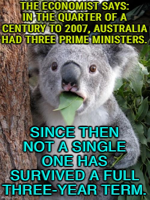 The Economist says | THE ECONOMIST SAYS: IN THE QUARTER OF A CENTURY TO 2007, AUSTRALIA HAD THREE PRIME MINISTERS. SINCE THEN NOT A SINGLE ONE HAS SURVIVED A FULL THREE-YEAR TERM. | image tagged in memes,surprised koala | made w/ Imgflip meme maker