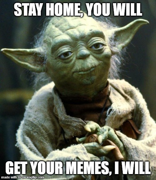 Is this my future?? | STAY HOME, YOU WILL; GET YOUR MEMES, I WILL | image tagged in memes,star wars yoda | made w/ Imgflip meme maker