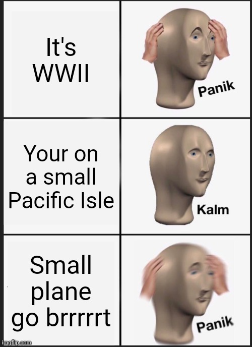 Panik Kalm Panik Meme | It's WWII; Your on a small Pacific Isle; Small plane go brrrrrt | image tagged in memes,panik kalm panik | made w/ Imgflip meme maker