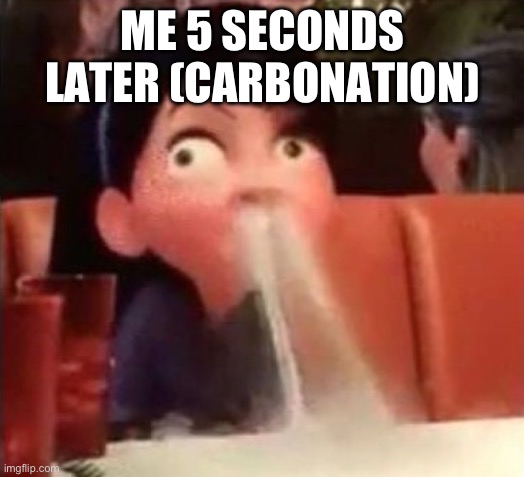 Violet spitting water out of her nose | ME 5 SECONDS LATER (CARBONATION) | image tagged in violet spitting water out of her nose | made w/ Imgflip meme maker