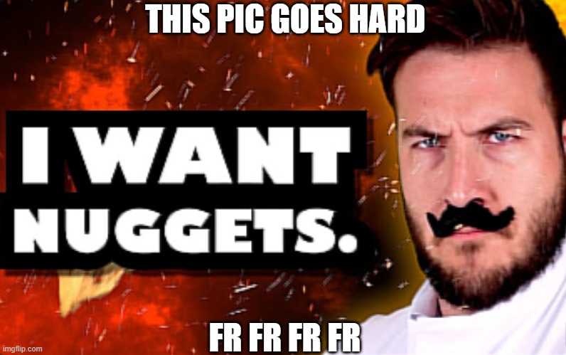 FR | THIS PIC GOES HARD; FR FR FR FR | image tagged in chicken nuggets | made w/ Imgflip meme maker