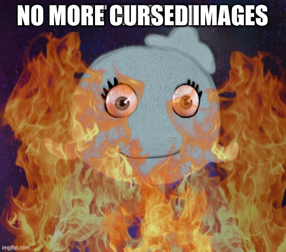 NO MORE CURSED IMAGES | made w/ Imgflip meme maker