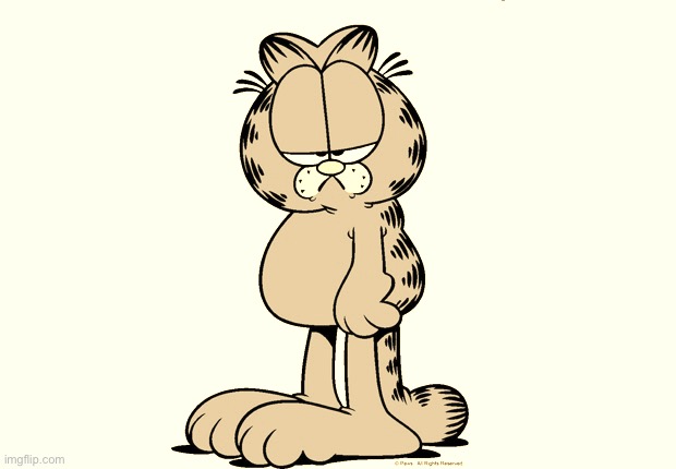 Grumpy Garfield | image tagged in grumpy garfield | made w/ Imgflip meme maker