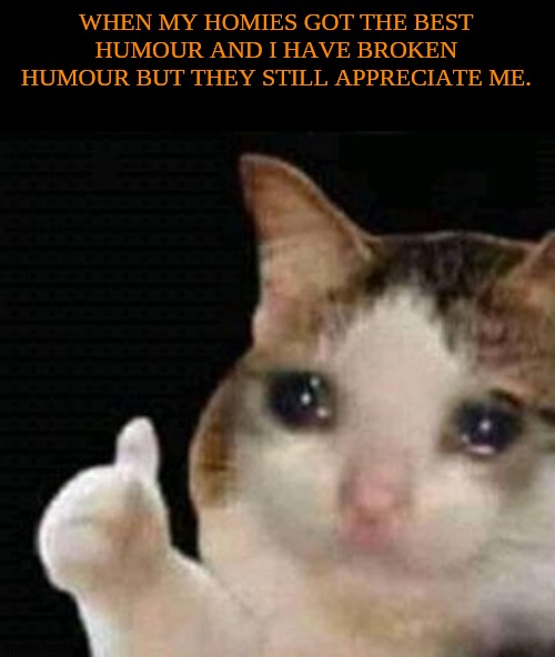 MY HOMIES. | WHEN MY HOMIES GOT THE BEST HUMOUR AND I HAVE BROKEN HUMOUR BUT THEY STILL APPRECIATE ME. | image tagged in sad thumbs up cat,homies | made w/ Imgflip meme maker