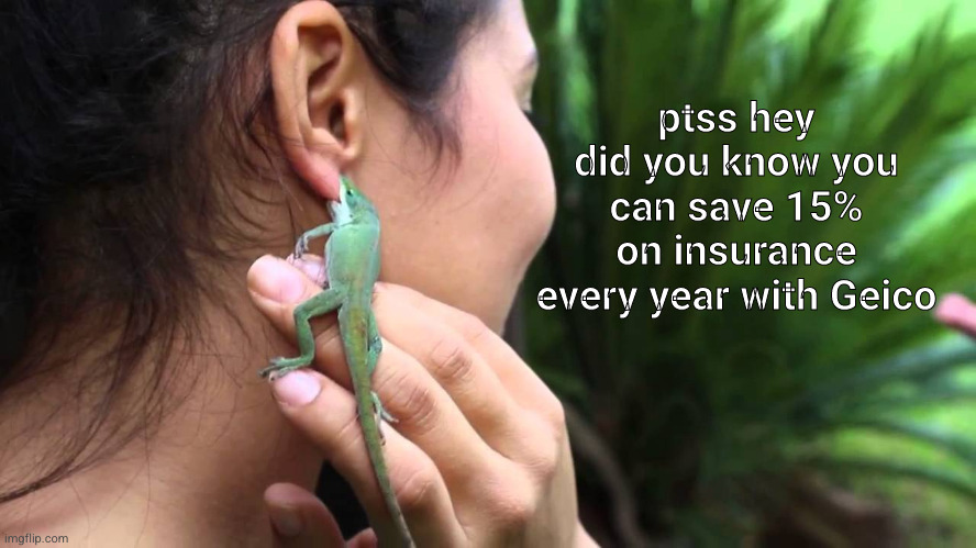 Meme #3,048 | ptss hey did you know you can save 15% on insurance every year with Geico | image tagged in memes,repost,geico,lizard,ear,insurance | made w/ Imgflip meme maker