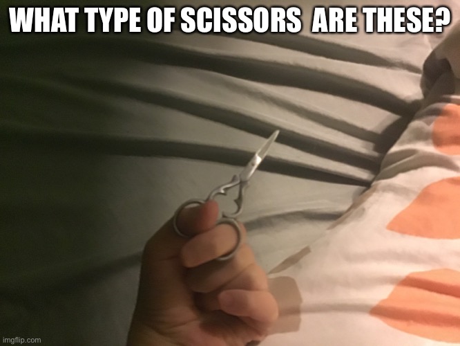 Hand reveal | WHAT TYPE OF SCISSORS  ARE THESE? | made w/ Imgflip meme maker