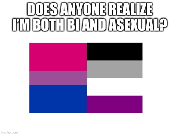 This is what you need to know | DOES ANYONE REALIZE I’M BOTH BI AND ASEXUAL? | made w/ Imgflip meme maker