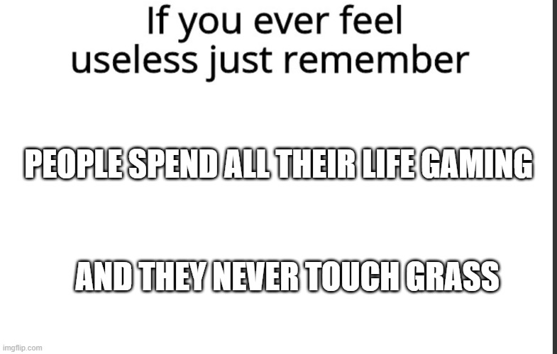 a real life fact | PEOPLE SPEND ALL THEIR LIFE GAMING; AND THEY NEVER TOUCH GRASS | image tagged in if you ever feel useless remember this | made w/ Imgflip meme maker