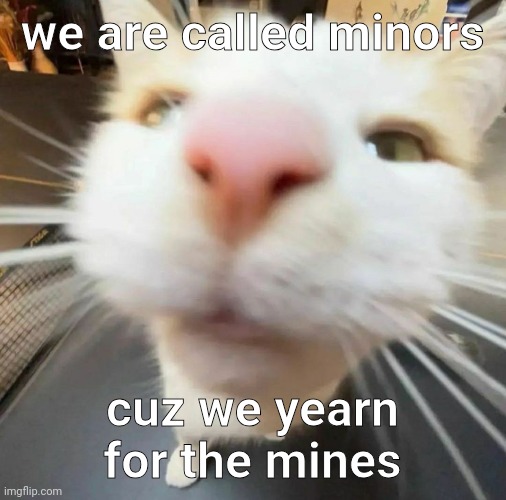 blehh cat | we are called minors; cuz we yearn for the mines | image tagged in blehh cat | made w/ Imgflip meme maker