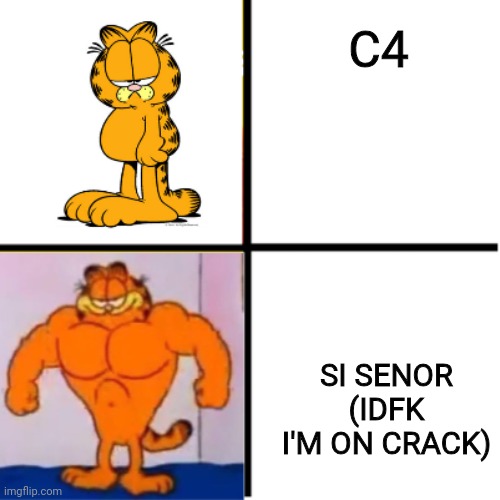 Drake Hotline Bling (Garfield Version) | C4; SI SENOR (IDFK I'M ON CRACK) | image tagged in drake hotline bling garfield version | made w/ Imgflip meme maker