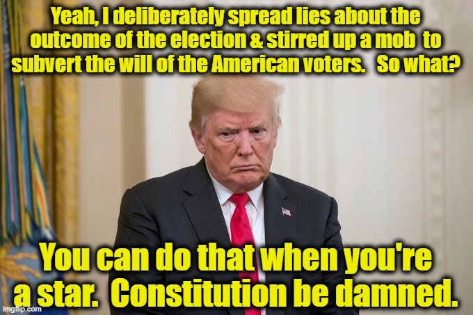 Trumps Confession | Yeah, I deliberately spread lies about the outcome of the election & stirred up a mob  to subvert the will of the American voters.   So what? You can do that when you're a star.  Constitution be damned. | image tagged in trump rage,donald trump you're fired,maga,gop hypocrite,i love democracy,donald trump approves | made w/ Imgflip meme maker