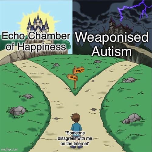 Someone on the Internet disagrees with me | Reply; Block | image tagged in echo chamber,blocked,weaponised autism,reply | made w/ Imgflip meme maker