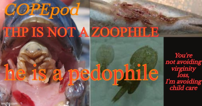 COPEpod's announcement template | THP IS NOT A ZOOPHILE; he is a pedophile | image tagged in copepod's announcement template | made w/ Imgflip meme maker