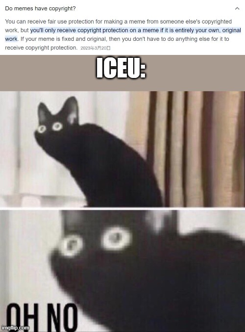 So yeah, you can sue someone if they steal your meme | ICEU: | image tagged in oh no cat,iceu,copyright | made w/ Imgflip meme maker