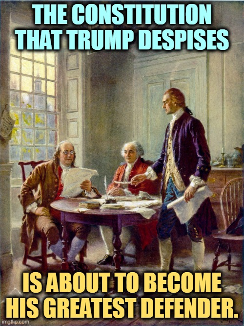 Ungrateful b&stard. | THE CONSTITUTION THAT TRUMP DESPISES; IS ABOUT TO BECOME HIS GREATEST DEFENDER. | image tagged in founding fathers,constitution,protection,trump,crime | made w/ Imgflip meme maker