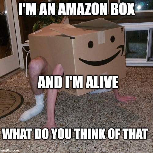 Human Amazon Box | I'M AN AMAZON BOX; AND I'M ALIVE; WHAT DO YOU THINK OF THAT | image tagged in box | made w/ Imgflip meme maker