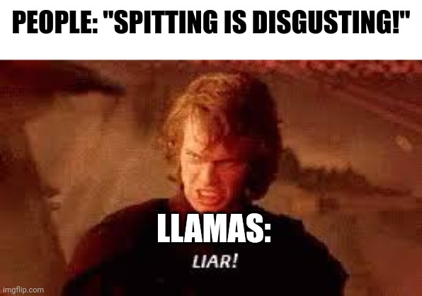 Llamas when you tell them that spitting is disgusting | PEOPLE: "SPITTING IS DISGUSTING!"; LLAMAS: | image tagged in anakin liar | made w/ Imgflip meme maker