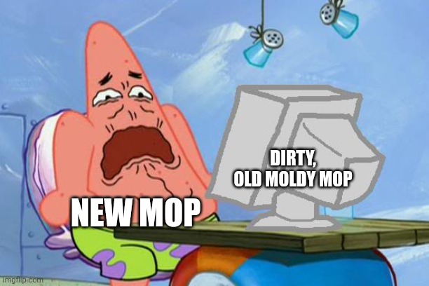 Dirty old moldy mop | DIRTY, OLD MOLDY MOP; NEW MOP | image tagged in patrick star internet disgust | made w/ Imgflip meme maker