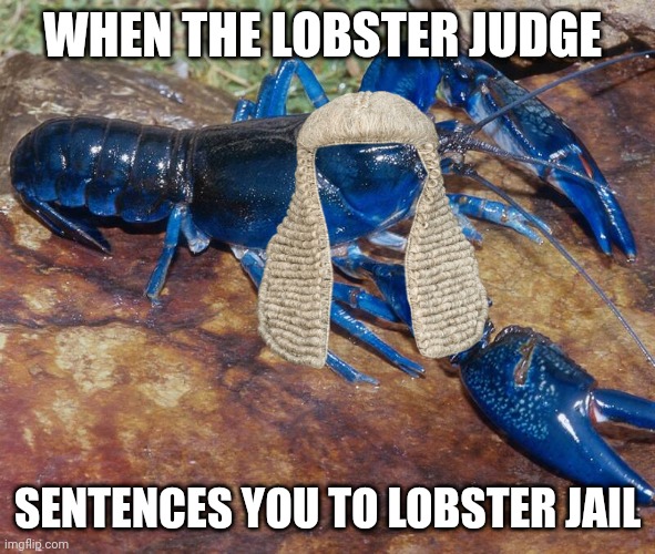I can't go to lobster jail | WHEN THE LOBSTER JUDGE; SENTENCES YOU TO LOBSTER JAIL | image tagged in memes,lobster | made w/ Imgflip meme maker