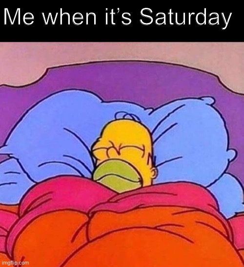 Best day EVER | Me when it’s Saturday | image tagged in line,homer simpson sleeping peacefully,simpsons | made w/ Imgflip meme maker