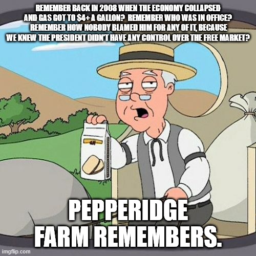 Pepperidge Farm Remembers Meme | REMEMBER BACK IN 2008 WHEN THE ECONOMY COLLAPSED AND GAS GOT TO $4+ A GALLON?  REMEMBER WHO WAS IN OFFICE?  REMEMBER HOW NOBODY BLAMED HIM FOR ANY OF IT, BECAUSE WE KNEW THE PRESIDENT DIDN'T HAVE ANY CONTROL OVER THE FREE MARKET? PEPPERIDGE FARM REMEMBERS. | image tagged in memes,pepperidge farm remembers,scumbag republicans,democrats,liars | made w/ Imgflip meme maker