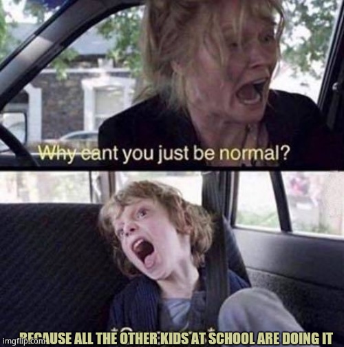 Why Can't You Just Be Normal | BECAUSE ALL THE OTHER KIDS AT SCHOOL ARE DOING IT | image tagged in why can't you just be normal,school | made w/ Imgflip meme maker