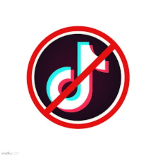 No tiktok | image tagged in no tiktok | made w/ Imgflip meme maker