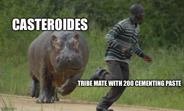 hippo chase | CASTEROIDES; TRIBE MATE WITH 200 CEMENTING PASTE | image tagged in hippo chase,ark survival evolved,dinosaurs,gaming,survival | made w/ Imgflip meme maker