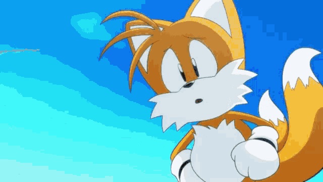 High Quality Tails Concerned Blank Meme Template