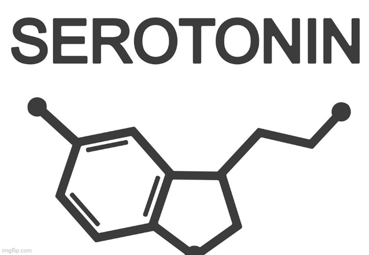 Serotonin | image tagged in serotonin | made w/ Imgflip meme maker