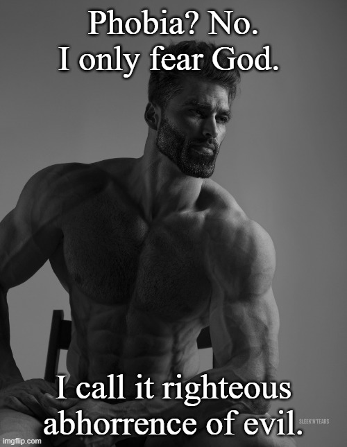 Giga Chad | Phobia? No. I only fear God. I call it righteous abhorrence of evil. | image tagged in giga chad | made w/ Imgflip meme maker