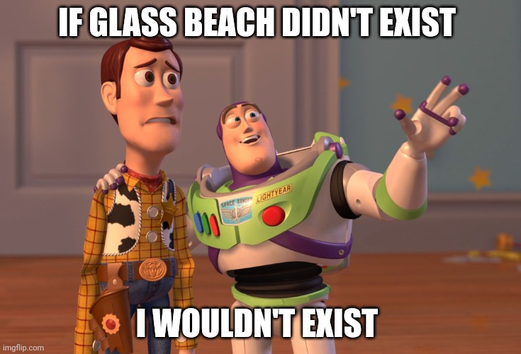X, X Everywhere Meme | IF GLASS BEACH DIDN'T EXIST; I WOULDN'T EXIST | image tagged in memes,x x everywhere,glassbeach | made w/ Imgflip meme maker