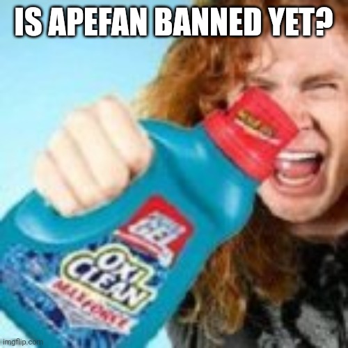 shitpost | IS APEFAN BANNED YET? | image tagged in shitpost | made w/ Imgflip meme maker